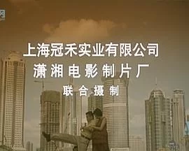 给太太打工海报