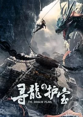 寻龙护宝海报