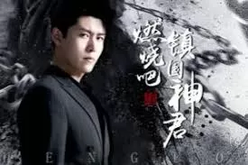 燃烧吧,镇国神君海报