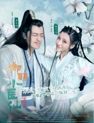 御赐小医仙海报