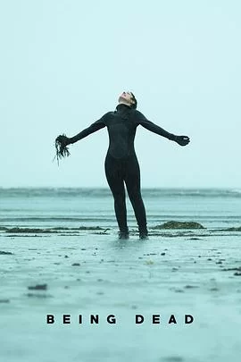 此情可待成追忆海报