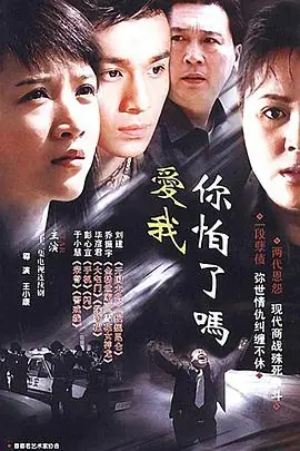 爱我你怕了吗海报