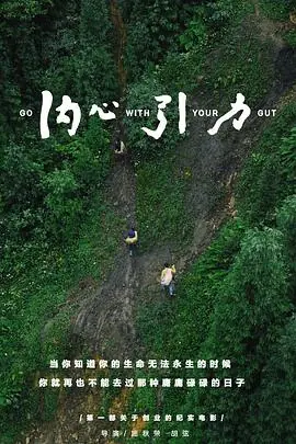 内心引力海报