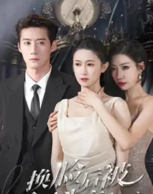 换脸后被死对头宠上天海报