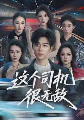 这个司机很无敌海报