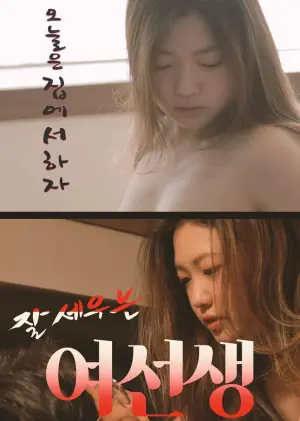 厉害的女教师海报
