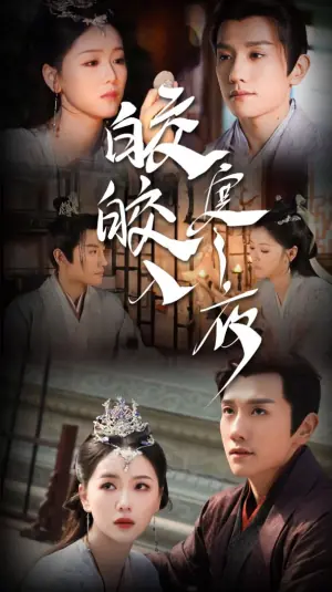 皎皎入寒夜海报