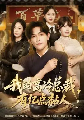 我的高冷总裁,有亿点黏人海报