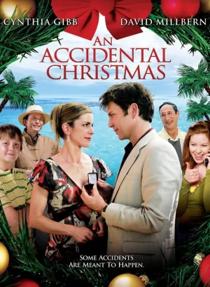 意外的圣诞节海报