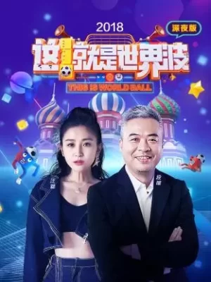这就是世界波深夜版2018海报