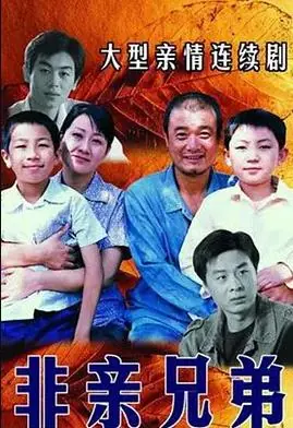非亲兄弟海报