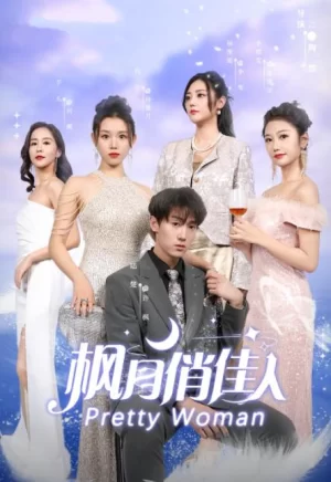 枫月俏佳人海报