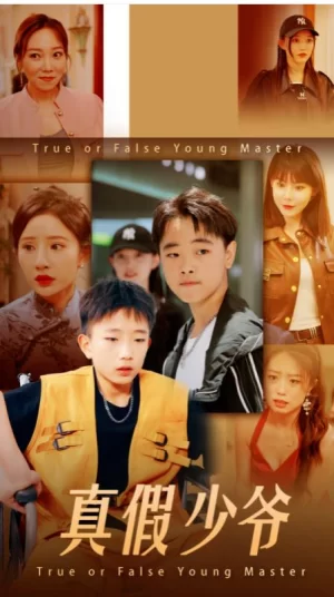 抓娃娃之真假少爷海报