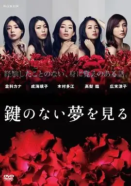 没有钥匙的梦海报