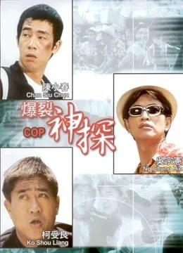 神探二又二分之一海报