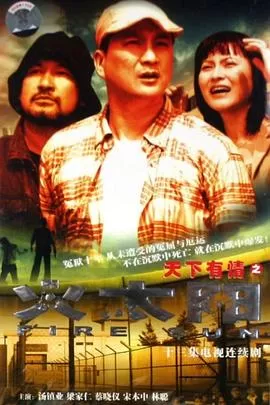 天下有情之火太阳(国语)海报