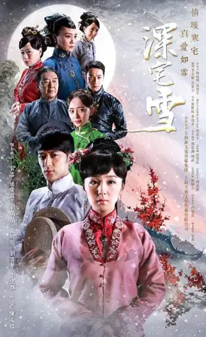 深宅雪海报