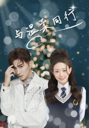 与温柔同行海报