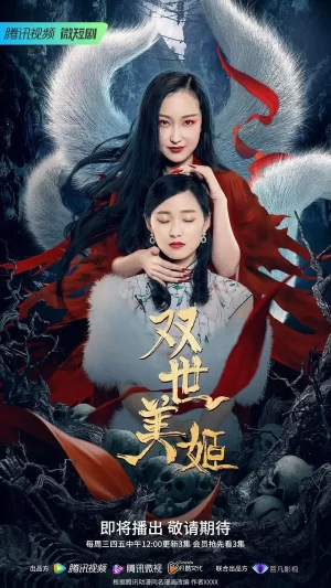 双世美姬海报