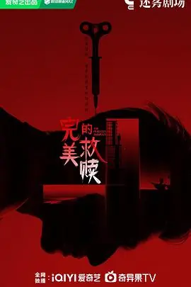 完美的救赎海报