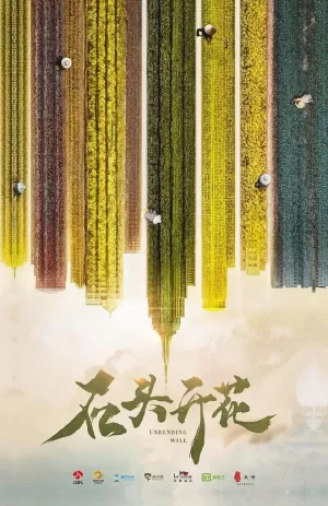 石头开花网络版海报