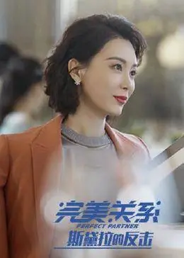斯黛拉的反击海报