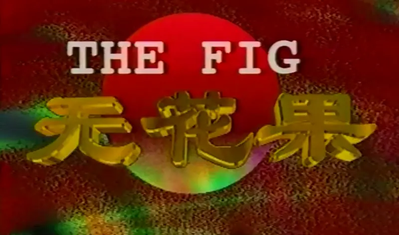 无花果1996海报