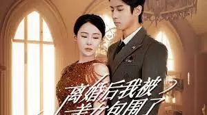 离婚后,我被美女包围了海报