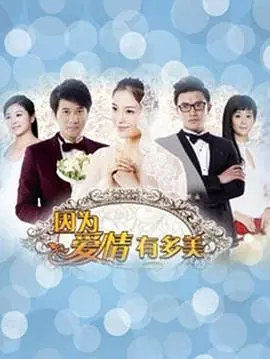 因为爱情有多美DVD版海报