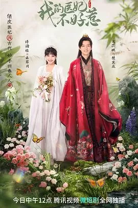 我的医妃不好惹3海报