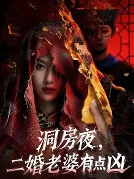 洞房夜,二婚老婆有点凶海报