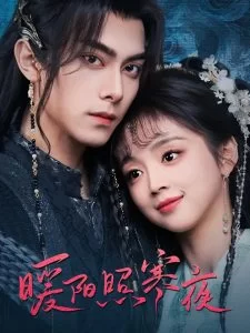 暖阳照寒夜海报