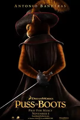 穿靴子的猫[电影解说]海报