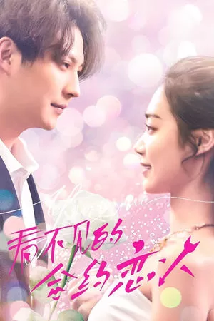 看不见的合约恋人海报