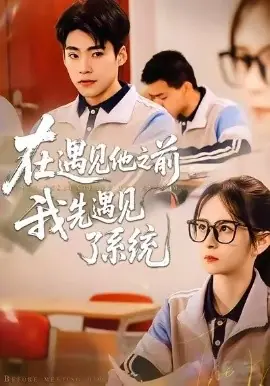 在遇见他之前,我先遇见了系统海报