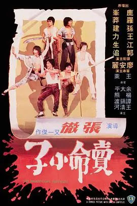卖命小子海报