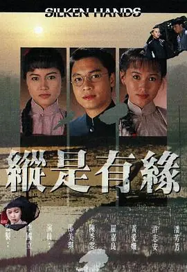 自梳女(粤语)海报