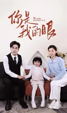 新版:你是我的眼海报