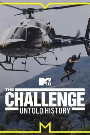 挑战:不为人知的历史第一季海报