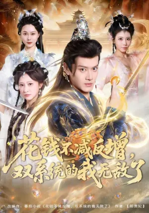 花钱不减反增,双系统的我无敌了海报