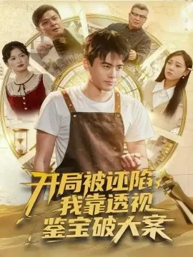 开局被诬陷,我靠透视鉴宝破大案海报