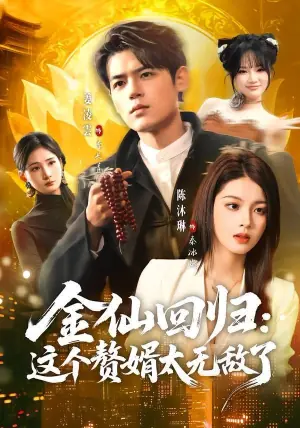 金仙回归:这个赘婿太无敌了海报