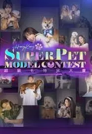 超级毛特儿大赛海报