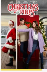 松树圣诞节海报