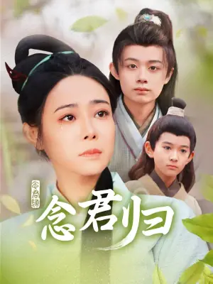 念君归海报