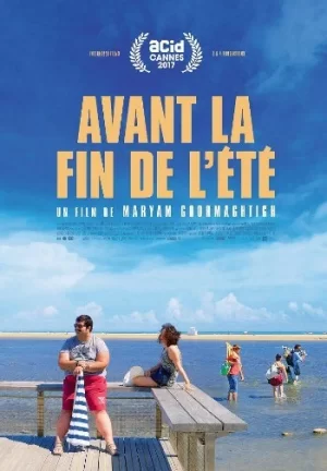 在夏天终结之前海报
