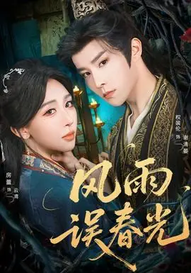 风雨误春光海报