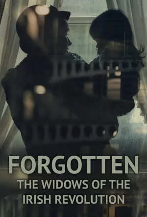 被遗忘的:爱尔兰革命的寡妇海报