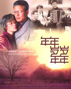 年年岁岁年年海报