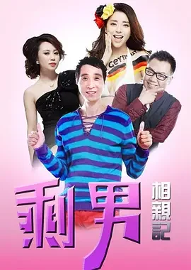 喜事连连:剩男相亲记海报